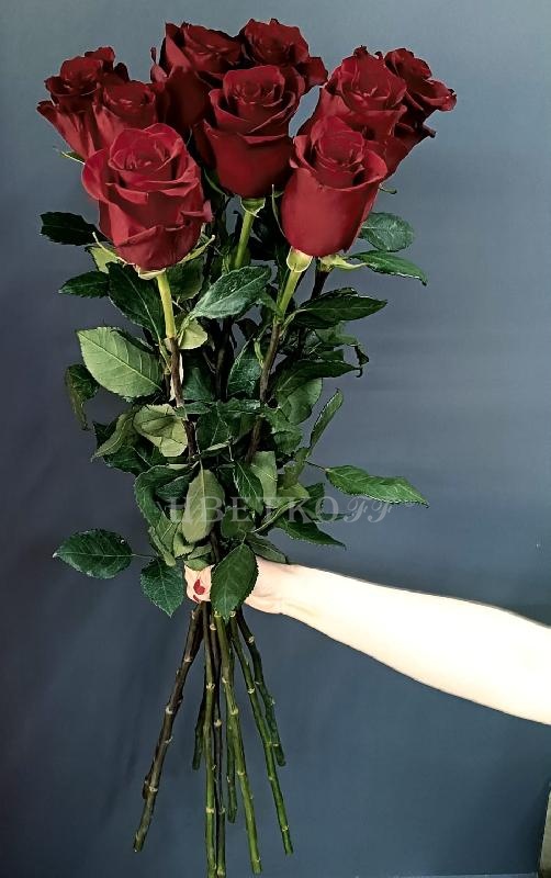 Роза Эквадор 100 см - Цветочный салон ЦветкоFF Тюмень