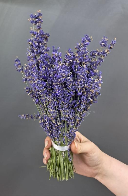Лаванда банч ( связка ) - Цветочный салон ЦветкоFF Тюмень
